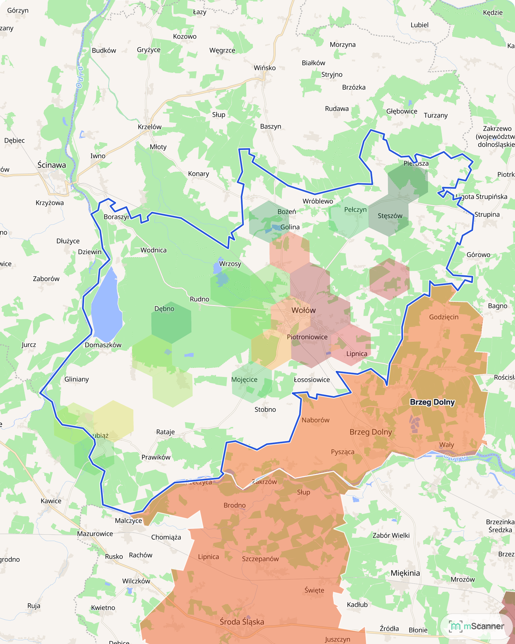 Mapa cen transakcyjnych mieszkań w gminie Wołów, z niebieskim obrysem granic i kolorowanymi obszarami cen.